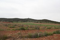 IMG_9466