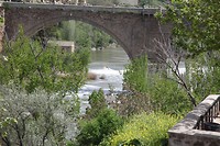 IMG_9477