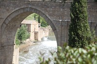 IMG_9481
