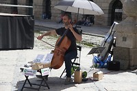 IMG_9493