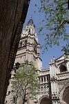 IMG_9502