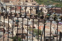 IMG_9515