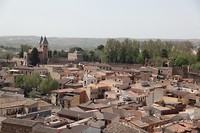 IMG_9517
