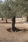 IMG_9521