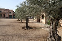 IMG_9522