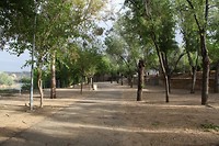IMG_9531