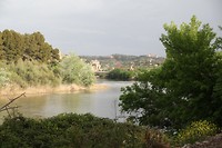 IMG_9532