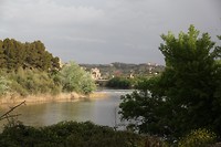 IMG_9533