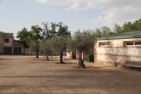 IMG_9535