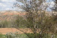 IMG_9755