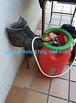 IMG-20180506-WA0001