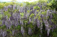 IMG_9756