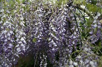 IMG_9758