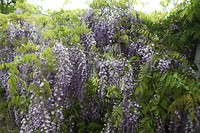 IMG_9759