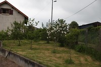 IMG_9760
