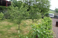 IMG_9764
