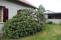 IMG_9765
