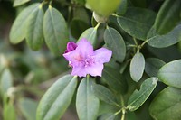 IMG_9768