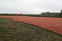 IMG_9819