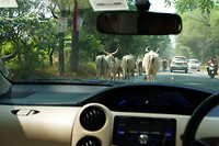 Onderweg naar Mandawa