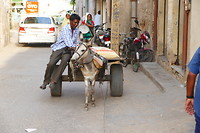Mandawa