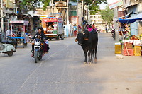 Mandawa