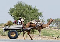 Hedendaags vervoermiddel