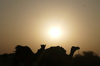 Zonsondergang in de woestijn
