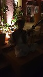Muziek bij het diner in Ratan Villas