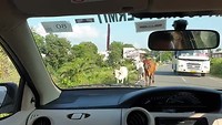 Onderweg naar Udaipur