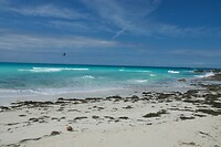 DSC03526