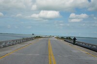 DSC03536