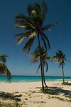 DSC03610