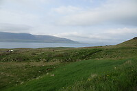 DSC04398