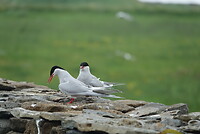 DSC04394