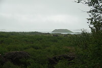 DSC04885