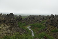 DSC04884