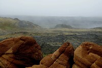 DSC05111