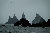 DSC05371