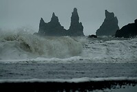 DSC05341