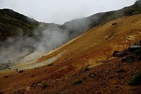 DSC05561