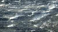 DSC05535