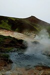 DSC05817