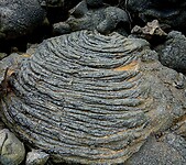 DSC05809