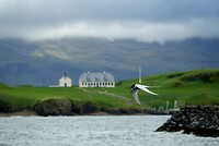 DSC05908