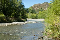 DSC07287