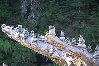 Fantail Falls