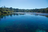 Te Waikoropupu Spring