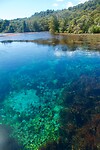 Te Waikoropupu Spring