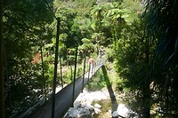 Wainui Falls